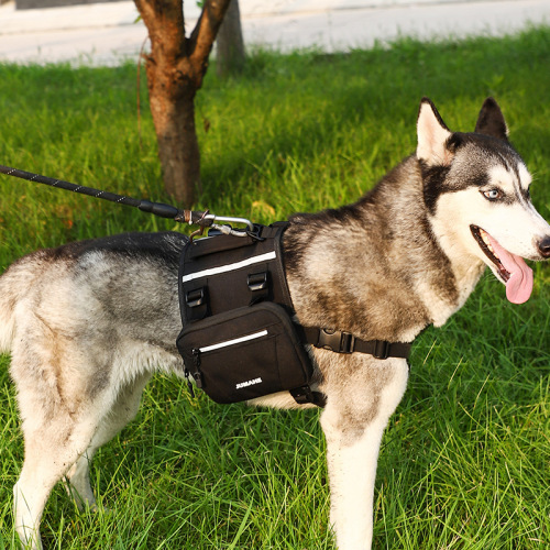sac en plein air portable pour animaux de compagnie