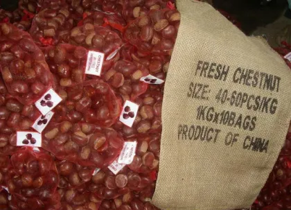 Hot selling big size Chinese Chestnuts--Tai an chestnuts