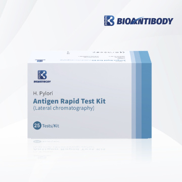 Kit de test rapide de l&#39;antigène H.Pylori (chromatographie latérale)