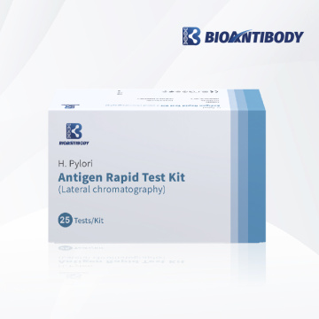 H.Pylori แอนติเจนชุดทดสอบอย่างรวดเร็ว (โครมาโตกราฟีด้านข้าง)