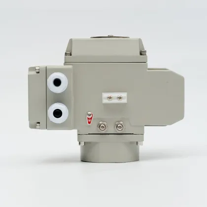 Electric actuator valve electric installation