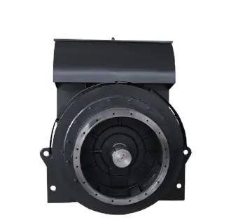 High Voltage Synchronous Generator