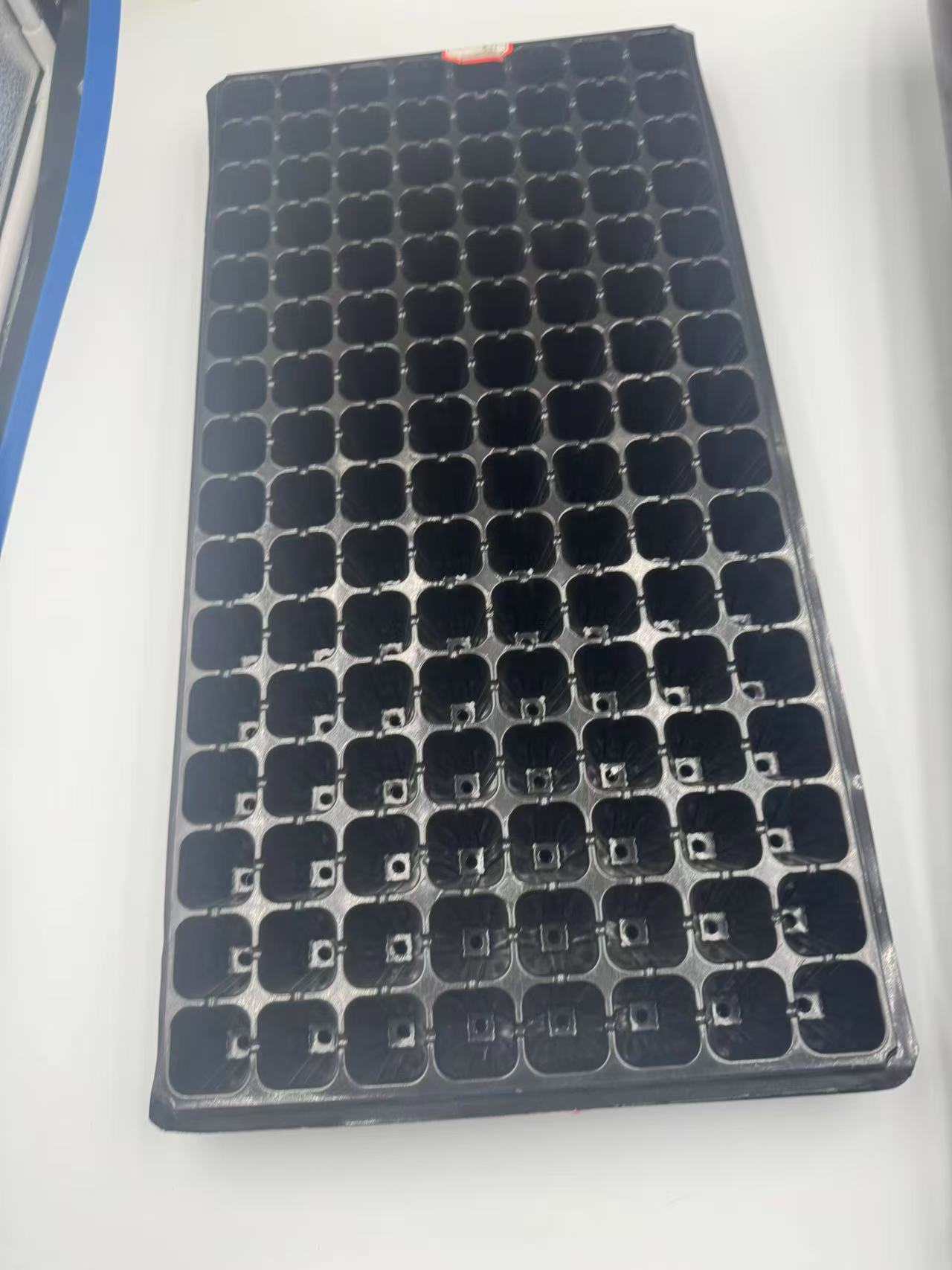  blister trays