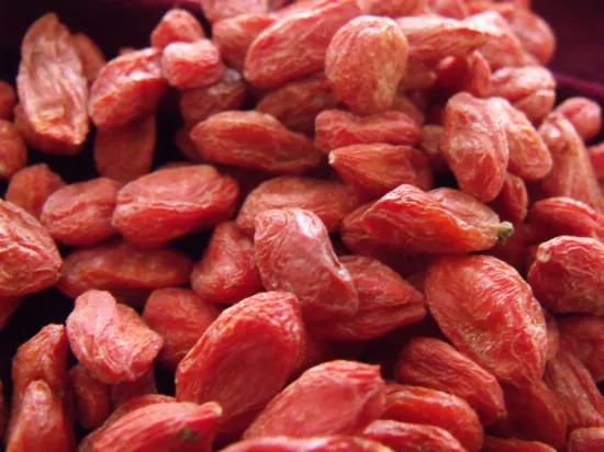Bio dried red berries/Low moisture Goji Berry