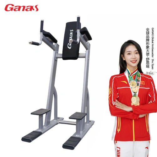 Commercial Gym Exercise Equipment Vertical Knee Raise Chin China  Manufacturer