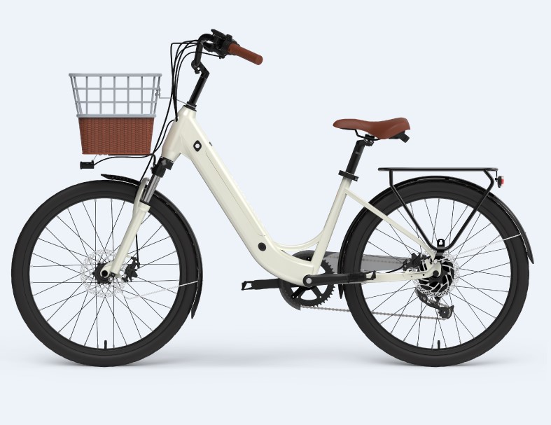 Simple Electric Bike