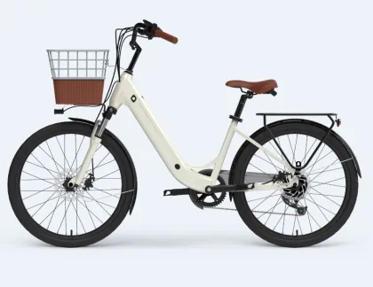 Lady Tern Electric Cargo Bike