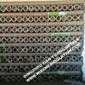 Low Cost Electro Galvanized Hexagonal Wire Netting