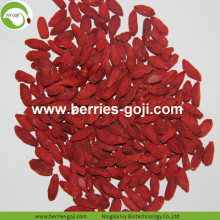 Factory Wholesale Natural Top Quality Wolfberry