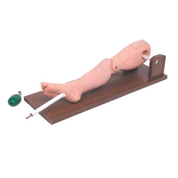 SC-L65A Clinical Advanced Bone Puncture and Femoral Vein Puncture Manikin