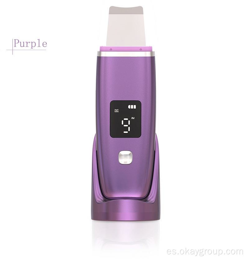 Care Face Exfoliator Ultrasonic Skin Scrubber