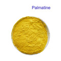Healthcare Supplement Palmatine Powder 99% CAS 3486-67-7