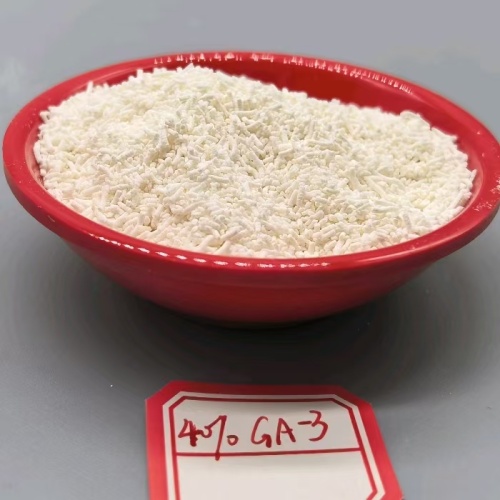 حمض الجبريليك (GA3) 40% مسحوق قابل للذوبان