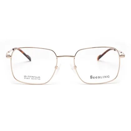 Latest Trendy Men's Titanium Optical Glasses: Round Vintage Frame Design