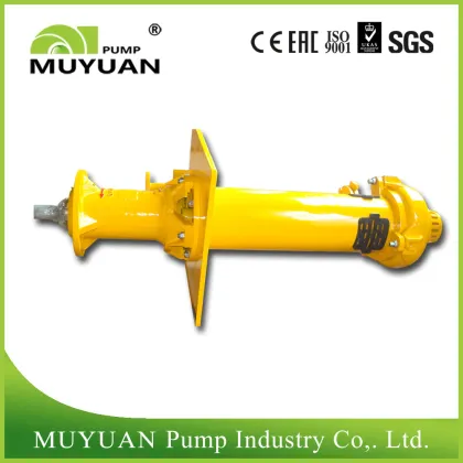 Coal Preparation Sump Pump