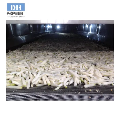 Fruit Dryer Machine for Efficient Fruit Processing Lines