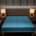 /msite/products/detail/productid/62266541/id/1337126.html