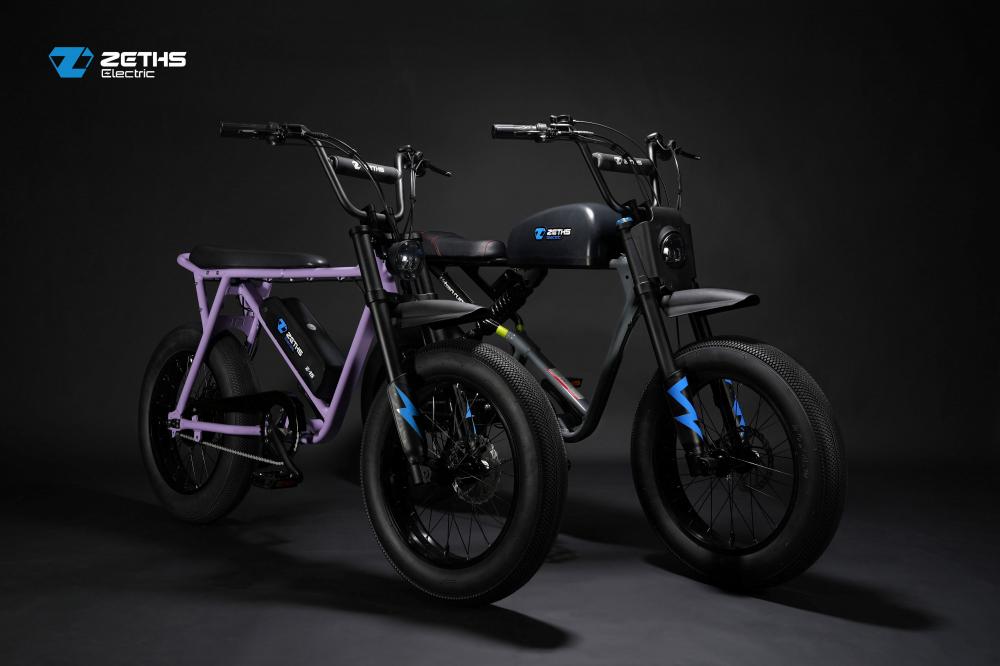 ebike for adult