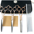 Professionell husdjur grooming sax set