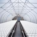 Gewächshaus kommerzielle Hydroponics NFT Flache Hydroponics