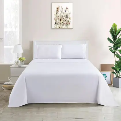 Hot Sale Home Textiles Cheap 100% Microfiber Bed Sheet Set