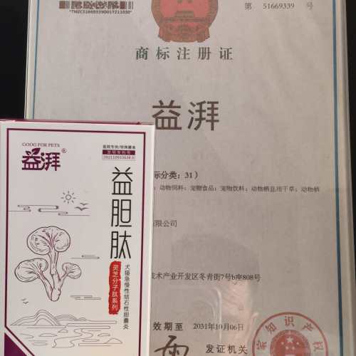 Suplemento para la colecistitis crónica en mascotas