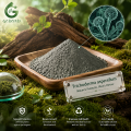 مسحوق الجراثيم الفطرية Trichoderma Asperellum للزراعة