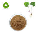 Asarum Sieboldii Extract Powder Herba Asari 10: 1