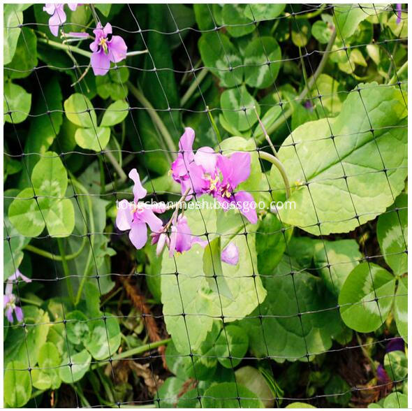 Plastic Farm Crop Protective Netting