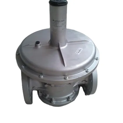 Industrial Gas Pressure Regulator with Built-in Filter Unit: Italy Giuliani FS1B65-DN65 Anello Valve