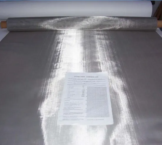 stainless steel wire mesh disk