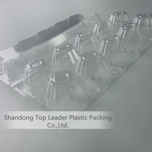 Food Grade PET Sheet PET Packaging Plastic Rolls