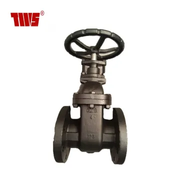 DN 65-300 125LB  Ductile Iron Body and Metal Seated Gate valve