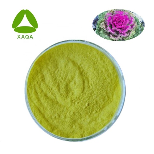 Extraits à base de plantes d'extrait de kale poudre
