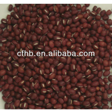 Dried Red adzuki beans