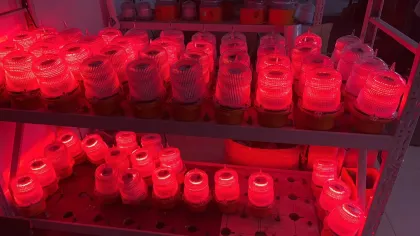 Airport Aviation Red Aircraft LED Obstruction Lights