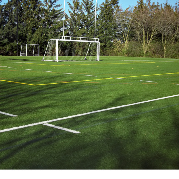 การแสดง FIFA Soccer Fields Grass เทียม