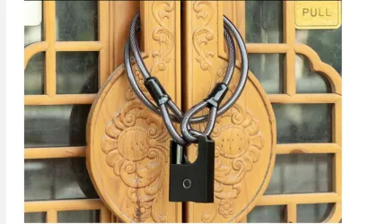 Anti-theft padlock biometric BLT fingerprint smart door lock