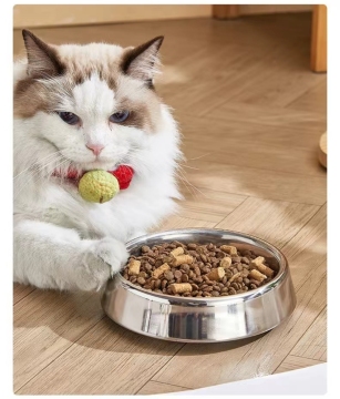 Ciotola per animali domestici in acciaio inossidabile: durevole, facile da pulire, ideale per cani e gatti con base anti -slittamento - perfetto per l'uso domestico