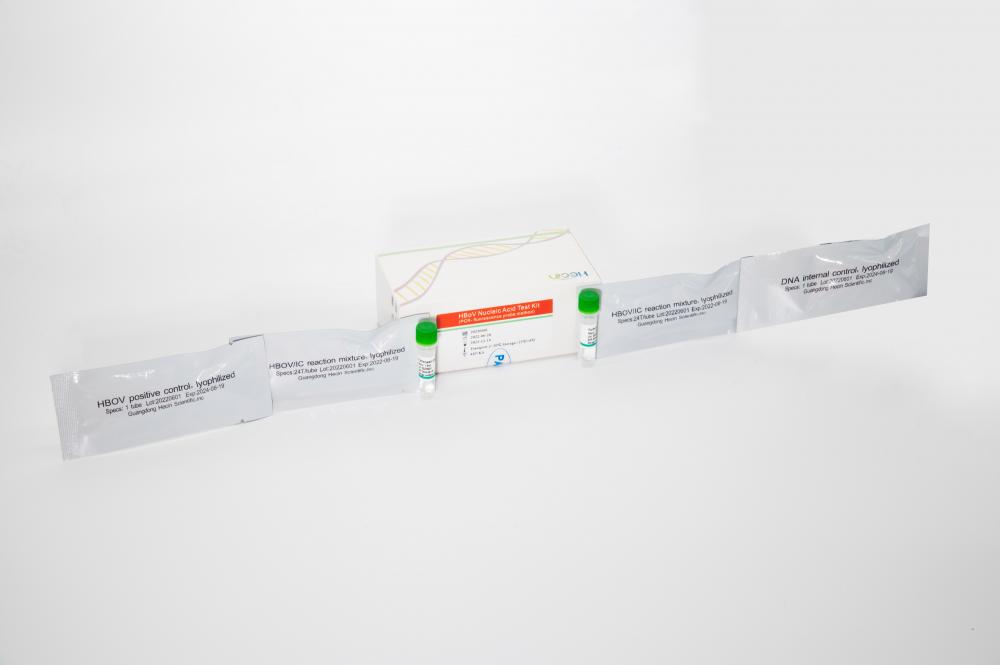 مجموعة اختبار حمض HBOV (طريقة مسبار PCR- مضان)