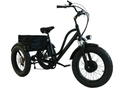 hall sensor rangka beltdrive electric tricycle