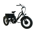 hall sensor rangka beltdrive electric tricycle