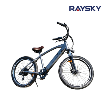 Hardtail Mountain Electric Bike
