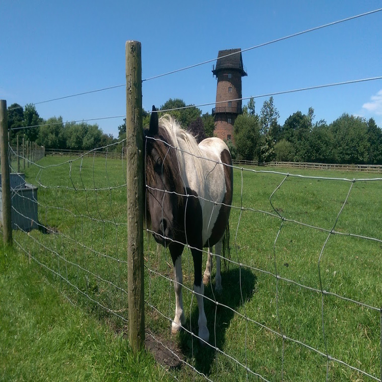 High Quality Galvanized Woven Wire Deer Farm Fence for Farm Goat