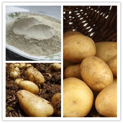 Dehydrated White Potato Powder