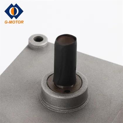 Grill rotisserie motor for pig rotisserie