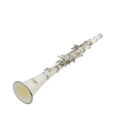 17-key Clarinet Abs Nickel-plated Buttons Double-barrel Excellent White Clarinet with Woodwind Musical Instrument Accessories
