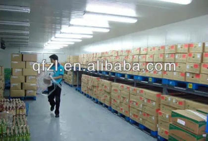 Ice cream cold storage room