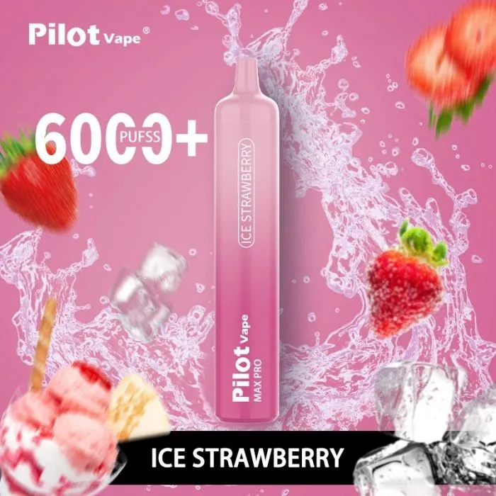Pilot Max Pro 6000 puffs