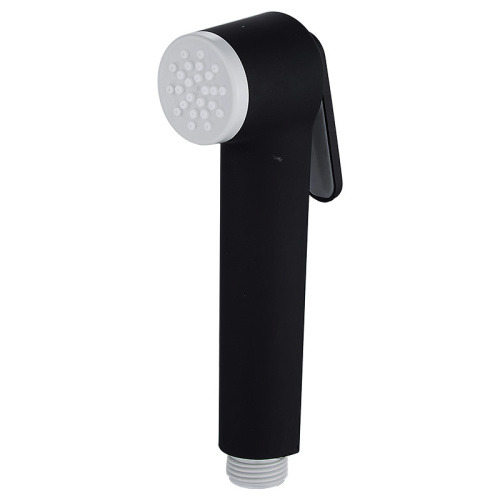 Full Rain Spray Bidet Modern Style